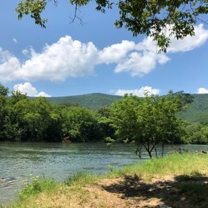 Meet your Posher, Melvin